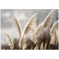 FOTOTAPETE Pampasgras Natur Beige 368x254 cm