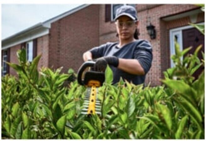 DEWALT Akku-Heckenschere, 54 Volt (DCMHT573X1-QW)
