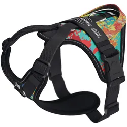 Julius-K9 K9 Longwalk light sele w/handle+trackerpocket,Crazy,XS (XS, Hund, Spazieren), Halsband + Leine