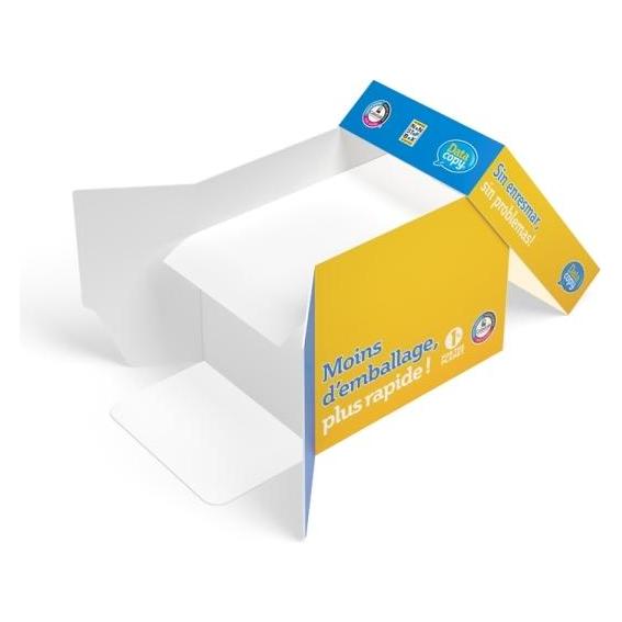 Data Copy Kopierpapier Everyday Printing DIN A4 80 g/qm 2.500 Blatt Maxi-Box (A4, 2500 Blätter, 80 g/m²) (521830)