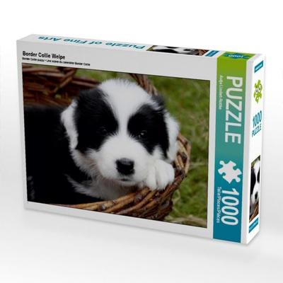 CALVENDO Puzzle Border Collie Welpe | 1000 Teile Lege-Größe 64x48cm Foto-Puzzle für glückliche Stunden