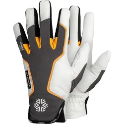 Leder Winterhandschuhe 7795 Dynamic Strengh - 8 (M)