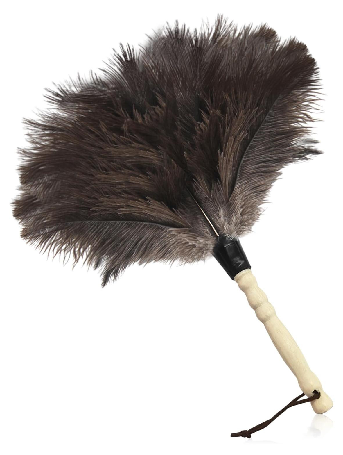 Dripio Antistatische Struisvogelveren Stofwisser met Houten Handvat, 33 cm
