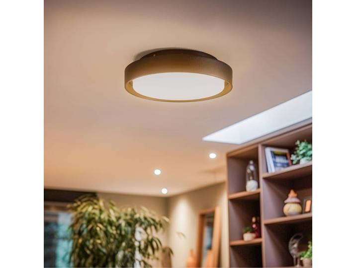 BRUMBERG 60107 LED-Deckenleuchte, rund, schwarz, für Flurbereich, Aluminium, LED Deckenleuchte