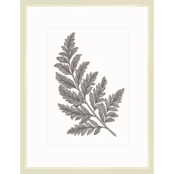 Bilderrahmen MODERN (BH 43x33 cm) - beige - BH 43x33 cm