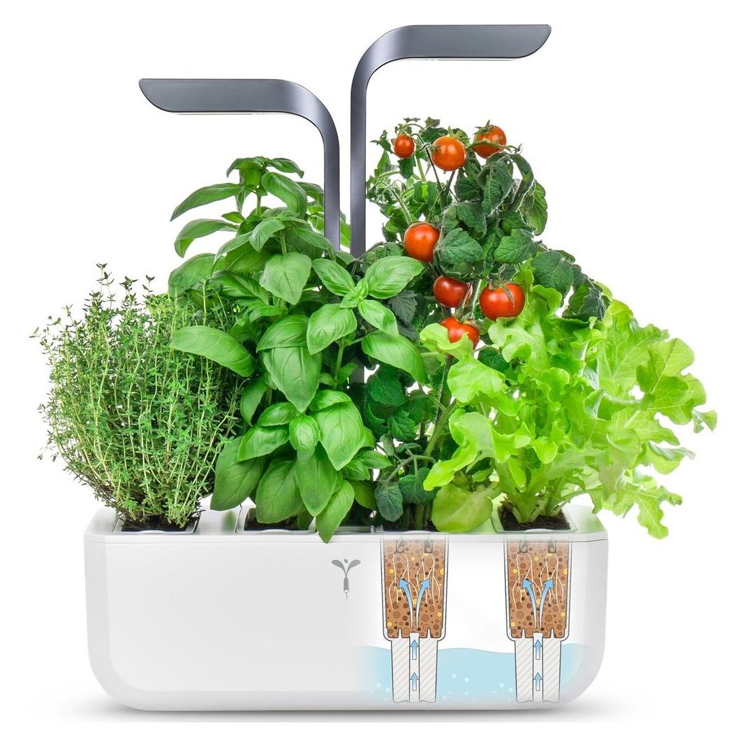 Véritable Connect Indoor Garden (33 x 18 x 81 cm) (VPOT-BAWIG-A-11)
