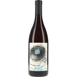 Out of the dark, Blaufränkisch Heinrich 2023 BIO
