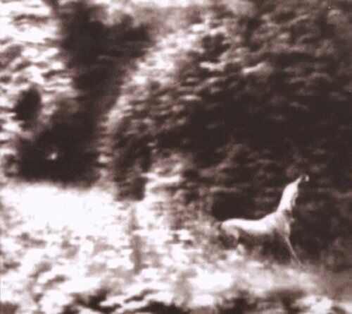 Syd Matters - Ghost Days - Preis vom 11.10.2026 15:43:13 h