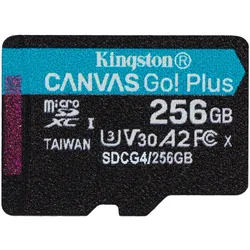 Kingston Canvas Go! Plus Flash-Speicherkarte - 256 GB