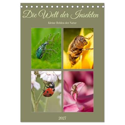 Die Welt der Insekten (Tischkalender 2027 DIN A5 hoch), CALVENDO Monatskalender