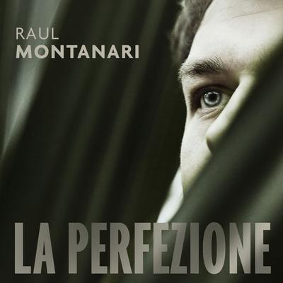 La perfezione - Raul Montanari, Audio, 9789179098834