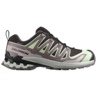 Salomon - Women's XA Pro 3D V9 GTX - Multisportschuhe 37 1/3 | EU 37 grau