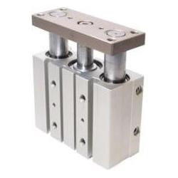 RS PRO Pneumatik-Führungszylinder doppeltwirkend m (HNG050.0050BS)