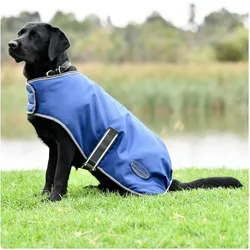 Weatherbeeta ComFiTec Windbreaker Free, Hundemantel