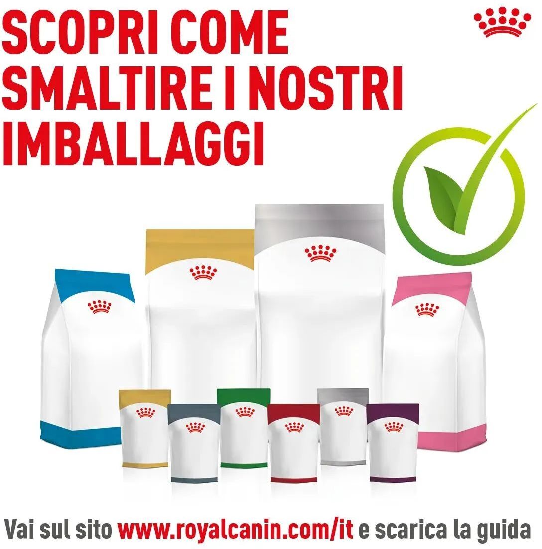 Royal Canin Maxi Mature Ageing Busta Multipack 40x140G CARNI E DERIVATI