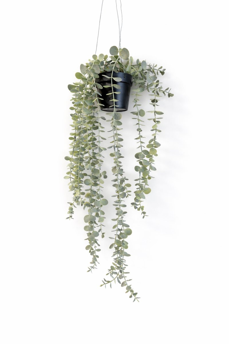 HEM Hangplant Eucalyptus met pot – Realistische kunstplant voor decoratie in huis of op kantoor