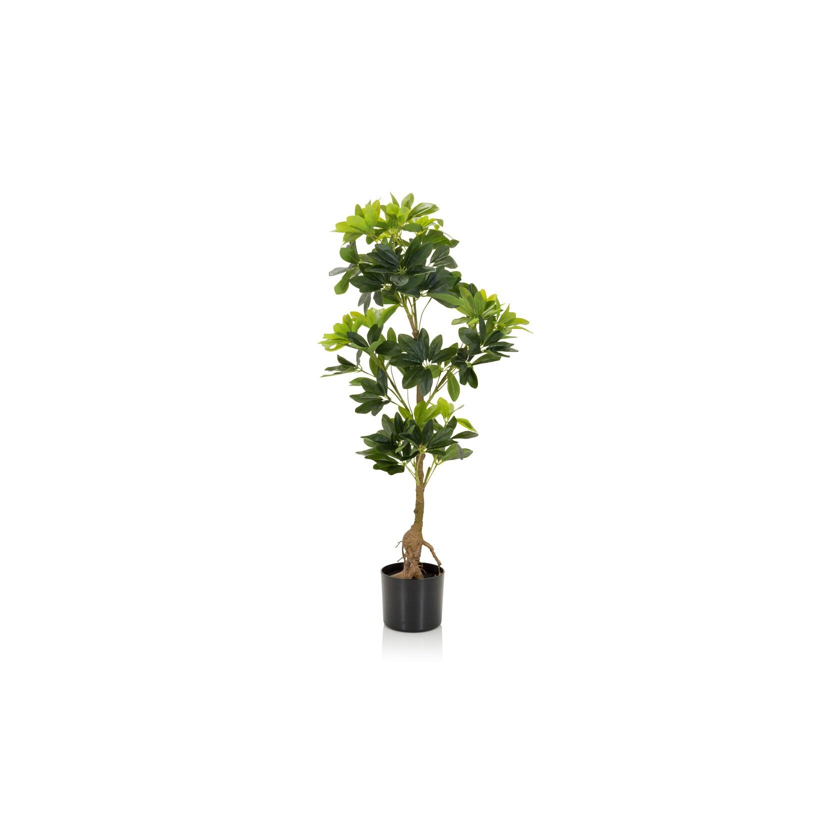 hjh OFFICE Kunstpflanze SCHEFFLERA Kunststoff, Stoff