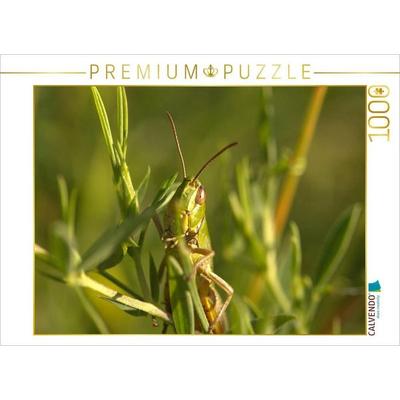 CALVENDO Puzzle Gemeiner Grashüpfer | 1000 Teile Lege-Größe 64x48cm Foto-Puzzle für glückliche Stunden