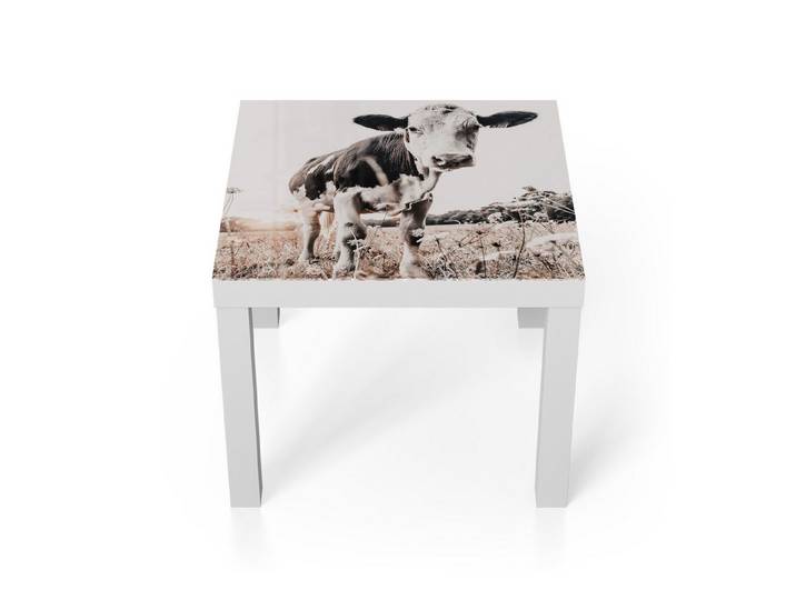 DEQORI Couchtisch 'Ländliche Abendstimmung', Glas Beistelltisch Glastisch modern