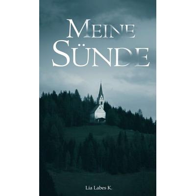 Meine Sünde, Gebundene Ausgabe von Lia Labes K., Tredition, 978-3-347-01465-7