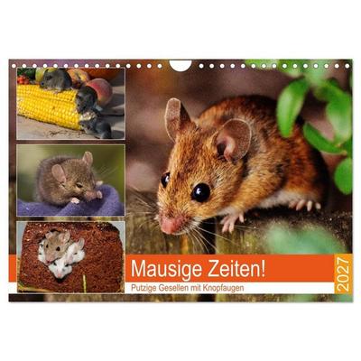 Mausige Zeiten! Putzige Gesellen mit Knopfaugen (Wandkalender 2027 DIN A4 quer), CALVENDO Monatskalender