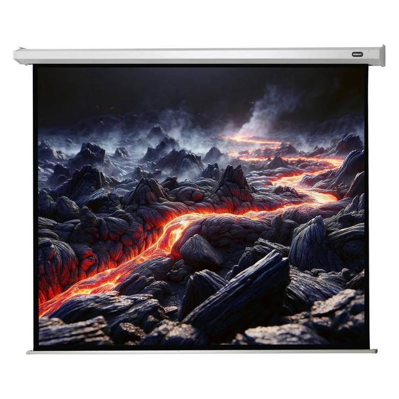 Celexon Motor Economy, Leinwand, 4:3 (98.43", 4:3) (1090073)