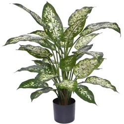+ 10 % Kassenrabatt | Designplants Dieffenbachia Kunstpflanze (h: 60 cm)