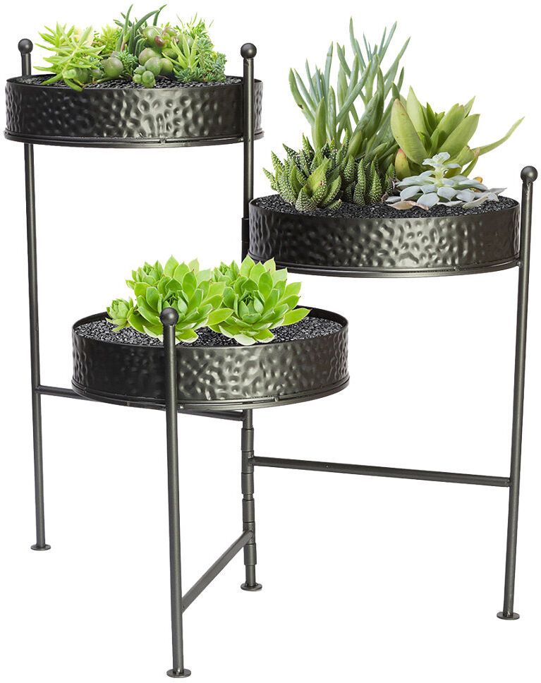 Ebern Designs Arvind Metal Weather Resistant Plant Stand Black 53cm H X 45cm W X 45cm D