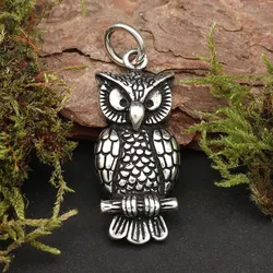 Drachensilber Eule Schmuck Anhänger 925 Silber Tiersymbol - Silber