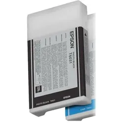 Epson Original T6031 Druckerpatrone photo schwarz 220ml (C13T603100)