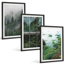 BILDER SET 3er Set - 40x60 cm Schwarzer Rahmen - Waldnebel, Flussufer, Gewächshaus