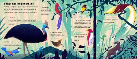 Robert Hunter - Klänge der Natur: Welt der Vögel - Sound-Buch - Preis vom 02.10.2026 23:42:20 h