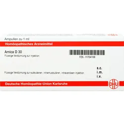 Arnica D30 Ampullen 8 ML