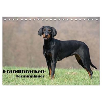 Der Brandlbracken-Terminplaner (Tischkalender 2027 DIN A5 quer), CALVENDO Monatskalender