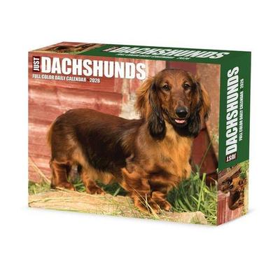 Dachshunds 2026 Box Calendar
