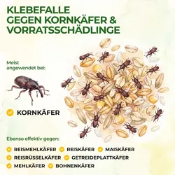 Green Guardia Kornkäfer Falle mit Spezial-Lockstoff: 12