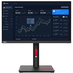 Lenovo ThinkVision T22i-30 (1920 x 1080 Pixel, 21.50"), Monitor, Schwarz