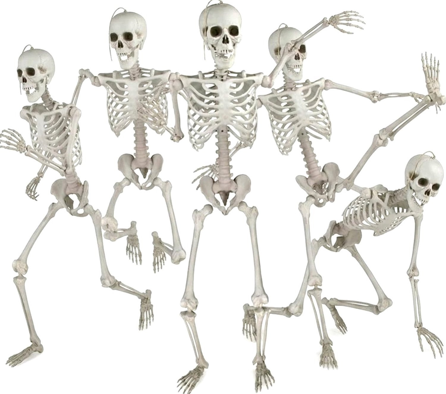 Set van 5 realistische skeletten van 41 cm voor Halloween decoratie