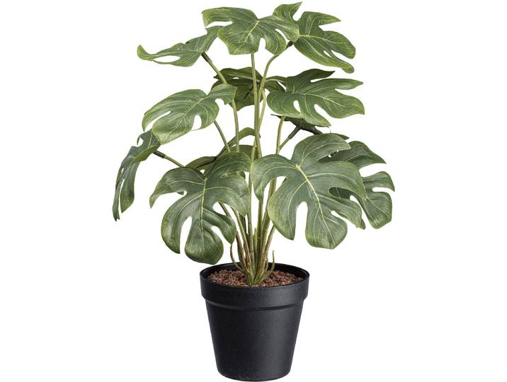 Künstliche Zimmerpflanze CREATIV GREEN Splitphilodendron , grün, H:38cm, Kunstpflanzen, Künstliche Zimmerpflanze, mit schönen Blättern