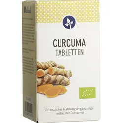 Curcuma 600mg Bio Tabletten 100 ST