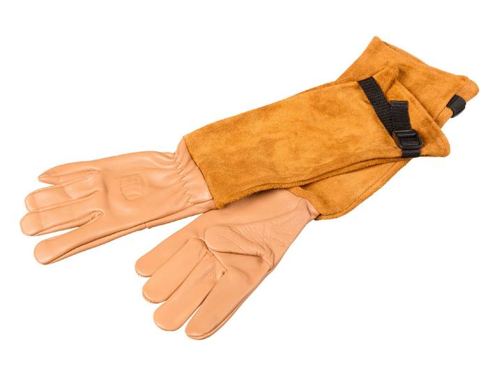 Falco Arbeitshandschuhe für Rosen L 10