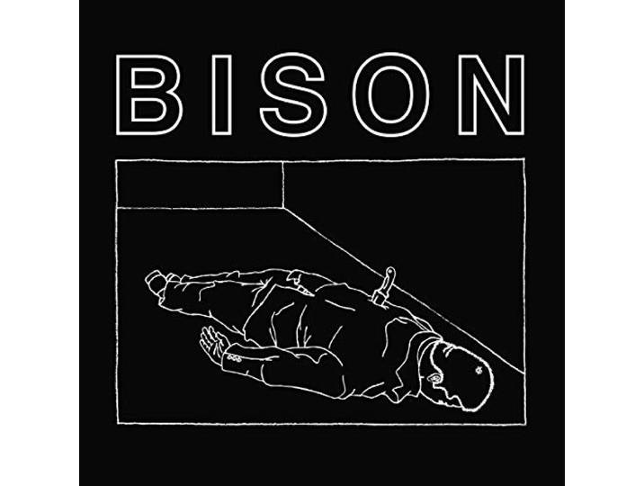 Bison - One Thouseand Needles