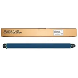 Ricoh D1979510 - Bildtrommel