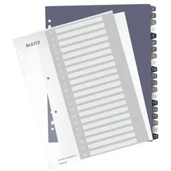 Leitz Kunststoffregister »Style 1239« 1-20 A4 Maxi PC-beschriftbar mehrfarbig, 24.5x30.5 cm