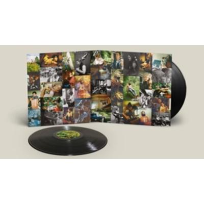 Dragon New Warm Mountain I Believe In You - Big Thief, Vinyl