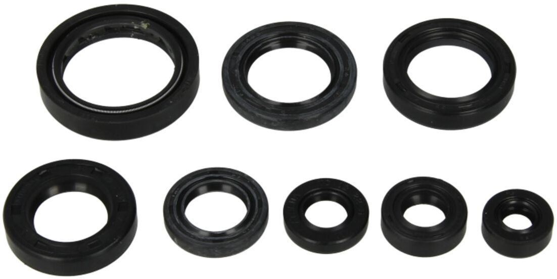 Motorsimmerringsatz ATHENA P400210400101