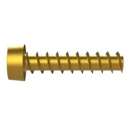 ABB VXXAWNJE Hiloschraube 5x22mm VMS Schraube selbstschneidend VE 50 4TBV853102C0100  - 50 Stück