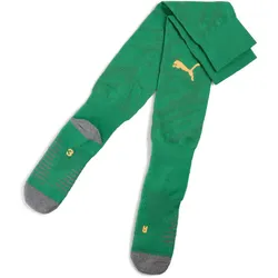 PUMA Concept Graphic Torwart-Stutzenstrümpfe 80 - archive green/heat fire 39-42