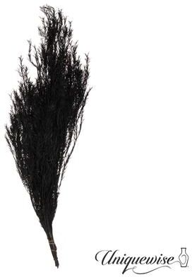 Uniquewise Preserved Real Floral Stems Chic Vase Fillers & Accents for Bouquets Centerpieces & Ornamental Displays