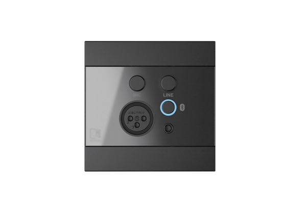 Audac WP225/B Bluetooth / Mikrofon / Line Wandpanel